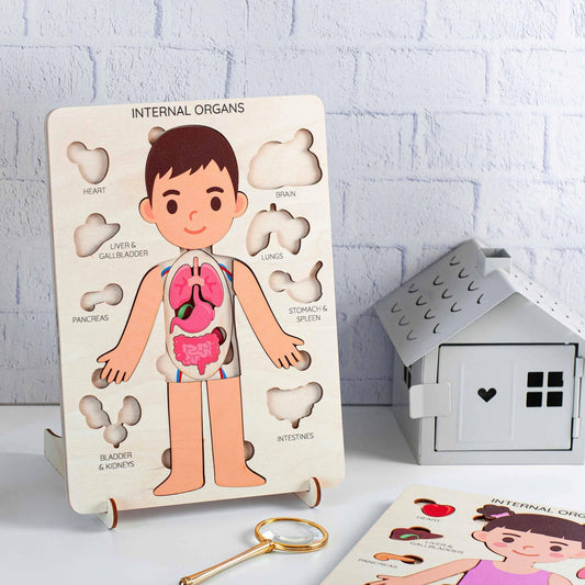 Educational Wooden Body Puzzle